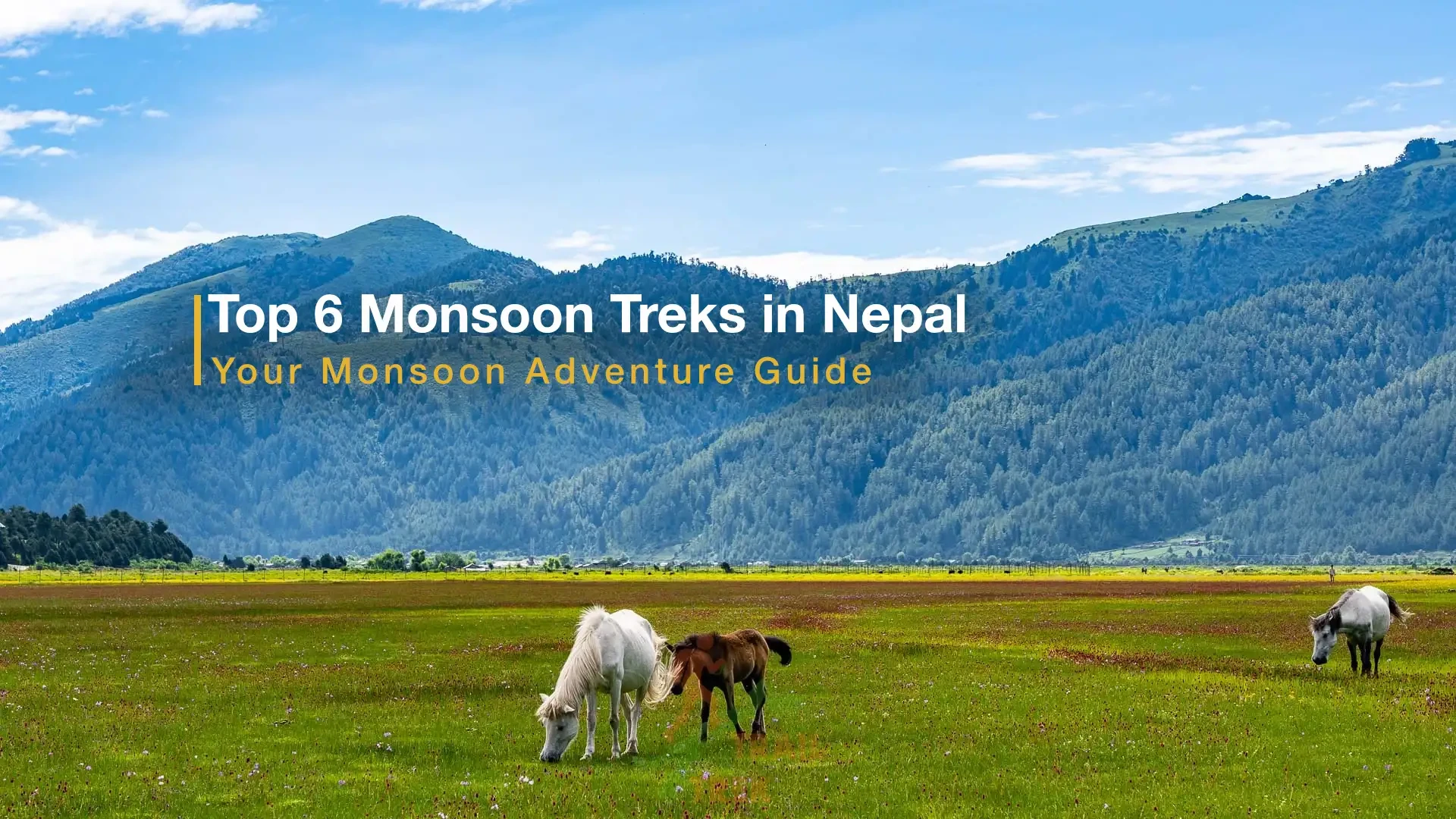 Top 6 Monsoon Treks in Nepal: Your Monsoon Adventure Guide